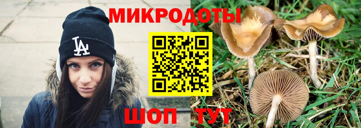 магазин продажи наркотиков  Галлюциногенные грибы прущие грибы  Вход с VPN  Псилоцибиновые грибы мухоморы  Рубцовск 